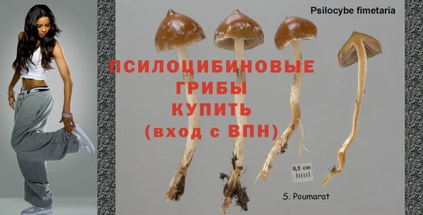 ешки Бугульма