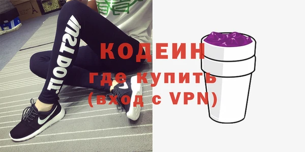 соль ск Бородино
