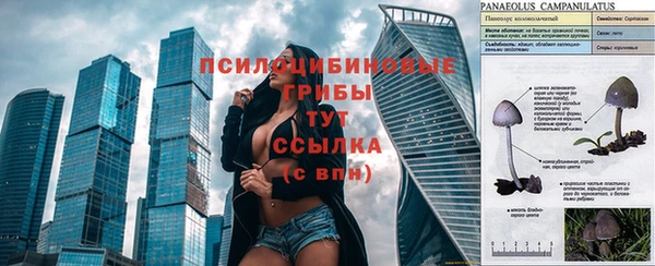 мет Бронницы