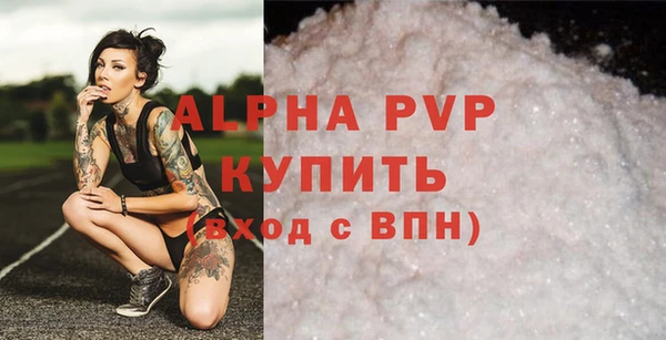 соль ск Бородино